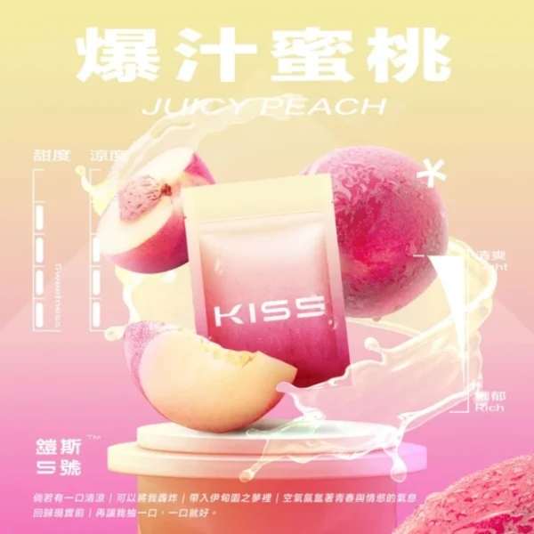 【kiss煙彈】KIS5凱斯5號煙彈 | 通用一代主機 | 3顆入 | 台灣原廠正品現貨:圖片 2